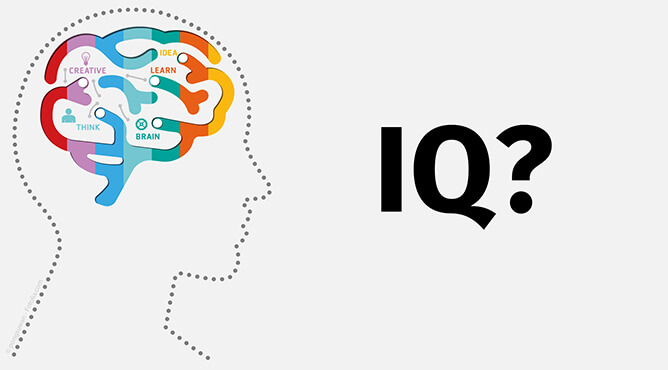 IQ là gì? Giữa IQ và EQ cái nào quan trọng hơn?