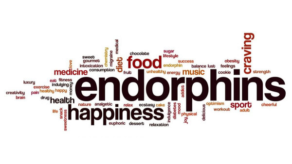 Endorphins là gì