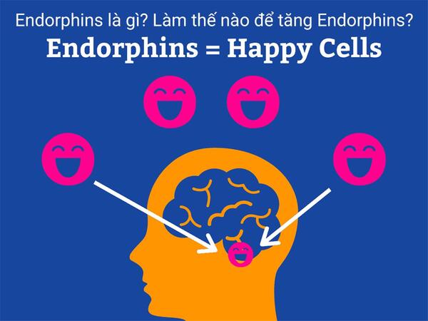 Endorphins là gì? Làm thế nào để tăng endorphins?