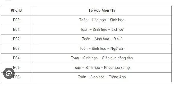 thi-khoi-b-gom-nhung-mon-nao-31a
